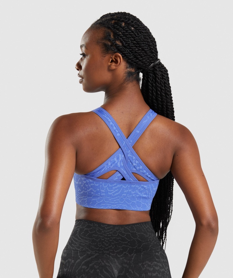 Gymshark Adapt Animal Bezšvová športová Podprsenka Hybrid-court Modrá
