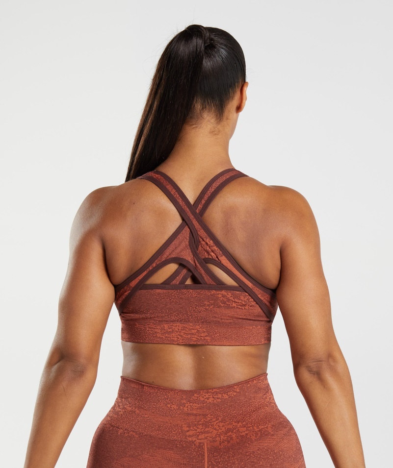 Gymshark Adapt Camo Bezšvová športová Podprsenka Láva| Búrka červeno-čerešňová Hnedá