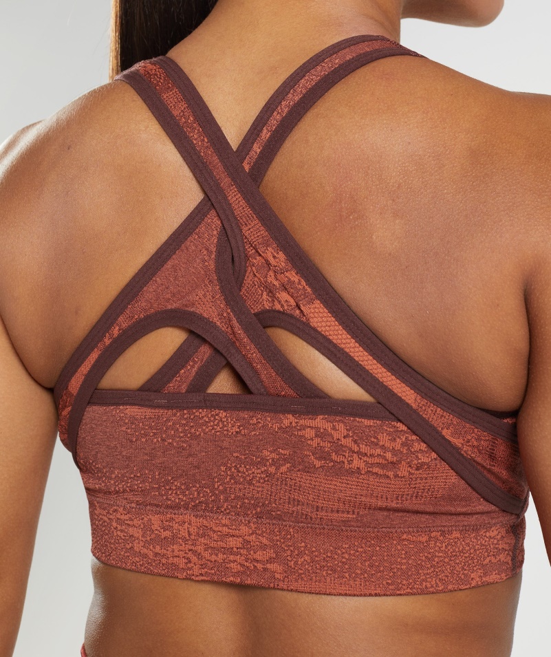 Gymshark Adapt Camo Bezšvová športová Podprsenka Láva| Búrka červeno-čerešňová Hnedá