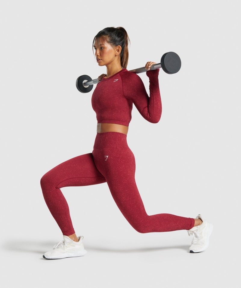 Gymshark Adapt Fleck Bezšvový Crop Top S Dlhým Rukávom Minerálno-bordový