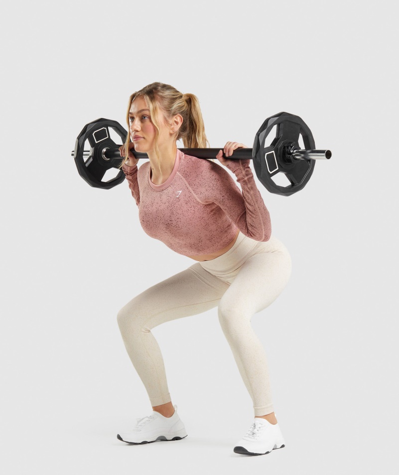 Gymshark Adapt Fleck Bezšvový Crop Top S Dlhým Rukávom Minerál- Paige Ružová
