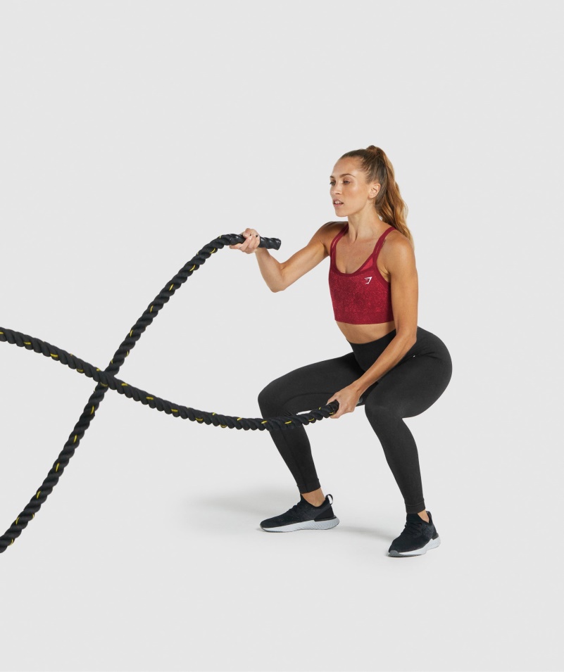 Gymshark Adapt Fleck Bezšvová športová Podprsenka Minerálno-bordová