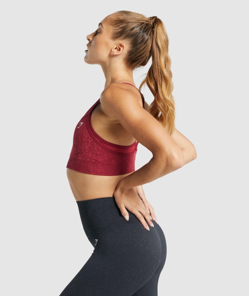 Gymshark Adapt Fleck Bezšvová športová Podprsenka Minerálno-bordová
