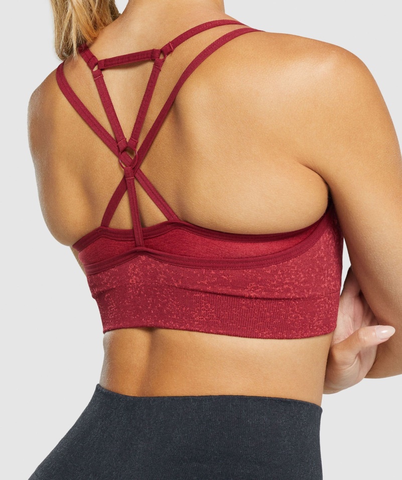 Gymshark Adapt Fleck Bezšvová športová Podprsenka Minerálno-bordová