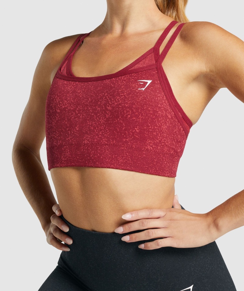 Gymshark Adapt Fleck Bezšvová športová Podprsenka Minerálno-bordová