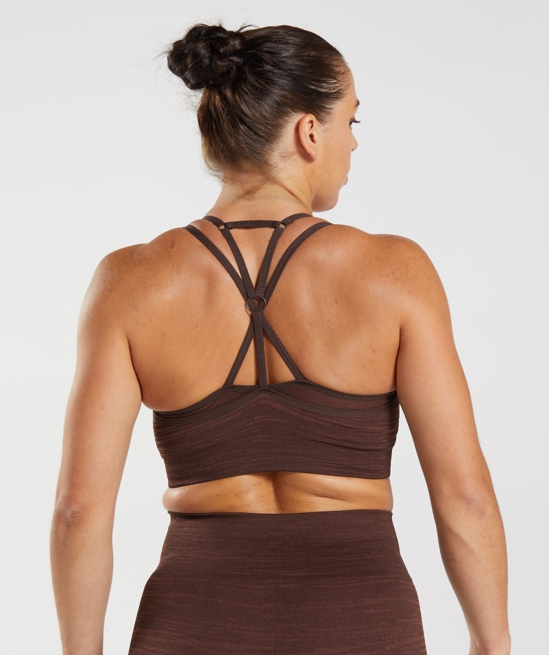 Gymshark Adapt Marl Bezšvová športová Podprsenka Vlt-archív Hnedo-hnedá