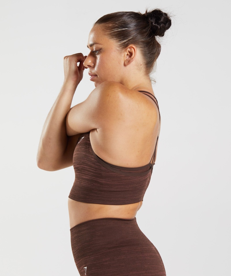 Gymshark Adapt Marl Bezšvová športová Podprsenka Vlt-archív Hnedo-hnedá