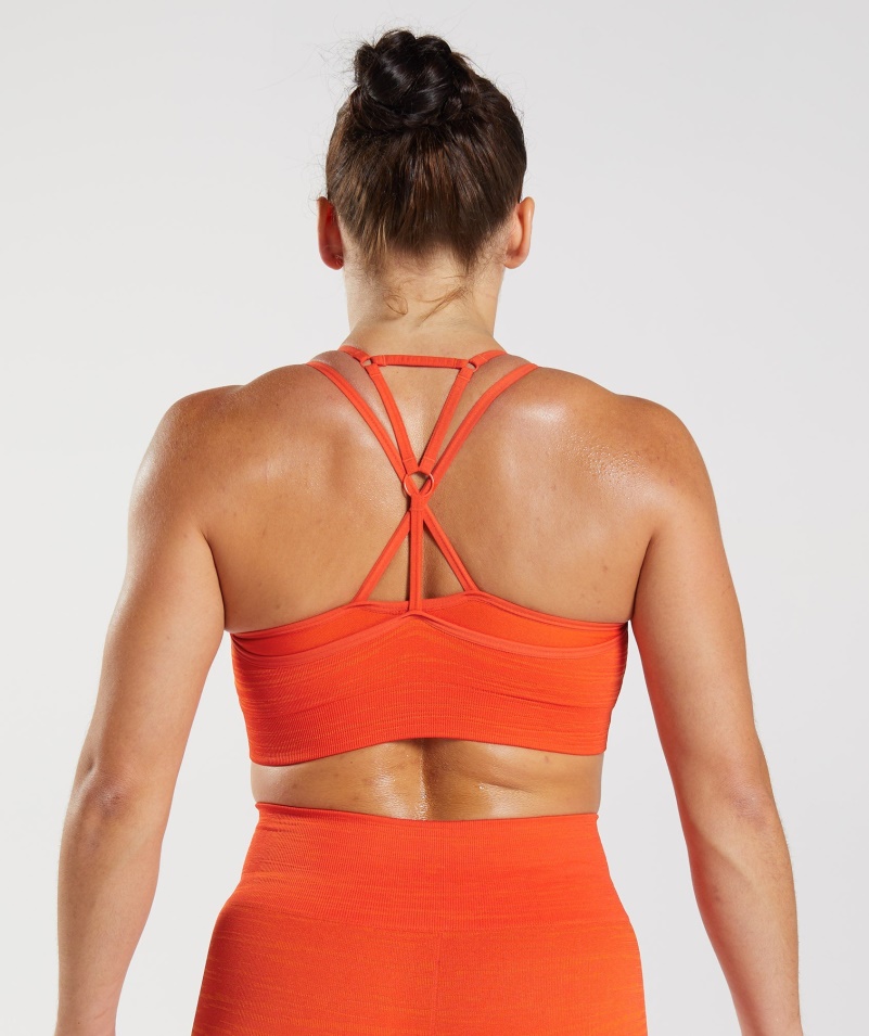 Gymshark Adapt Marl Bezšvová športová Podprsenka Vlt-pepper Red-pepper Orange