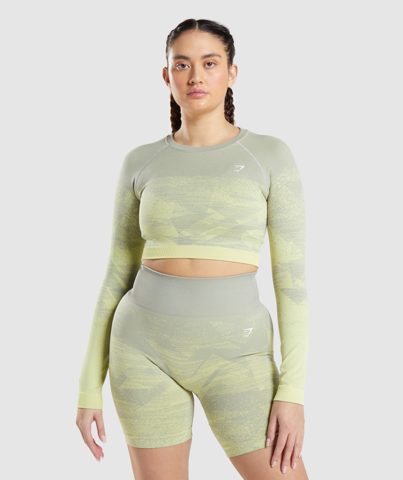 Gymshark Adapt Ombre Crop Top Trojuholník-taupe Sivá