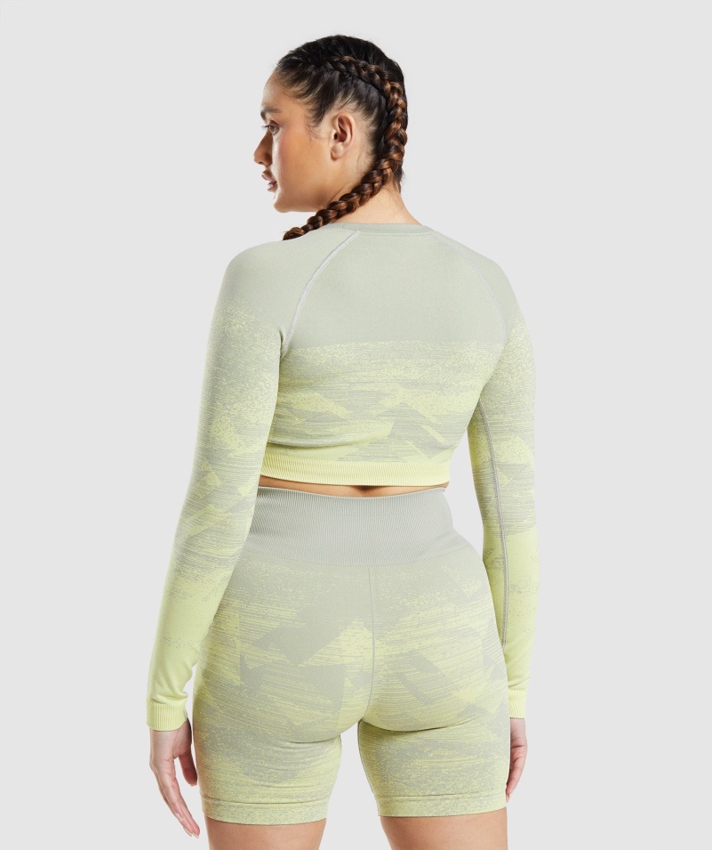 Gymshark Adapt Ombre Crop Top Trojuholník-taupe Sivá