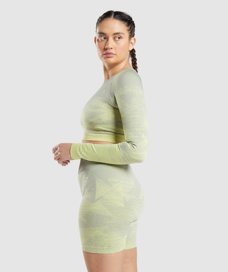 Gymshark Adapt Ombre Crop Top Trojuholník-taupe Sivá