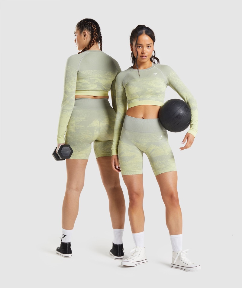 Gymshark Adapt Ombre Crop Top Trojuholník-taupe Sivá