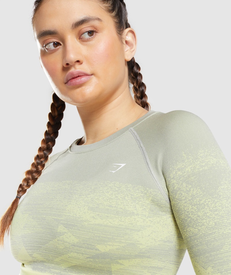 Gymshark Adapt Ombre Crop Top Trojuholník-taupe Sivá
