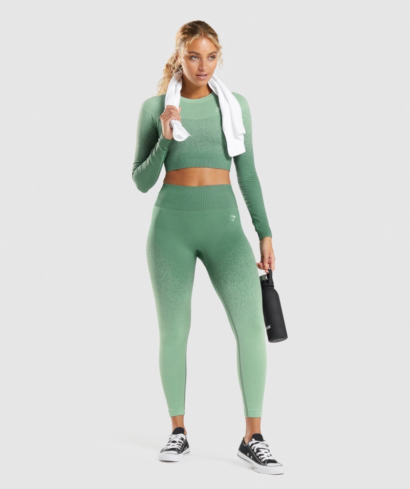 Gymshark Adapt Ombre Bezšvové Legíny Zeleno-svetlo Zelené