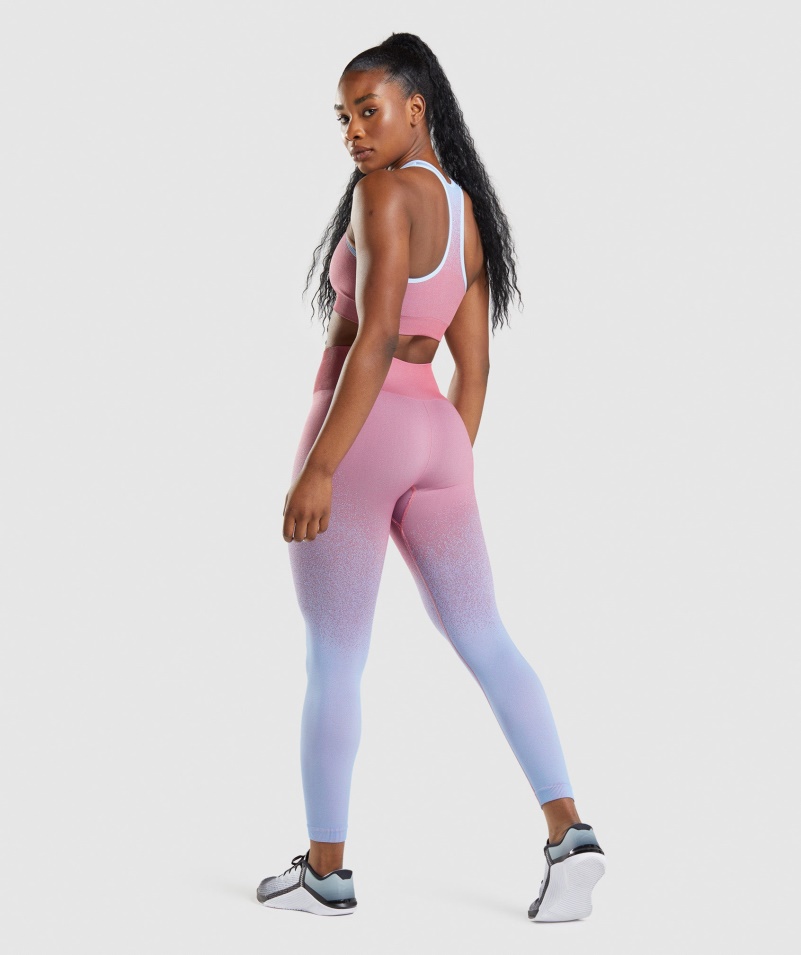 Gymshark Adapt Ombre Bezšvové Legíny Rose Ružovo-svetlomodré