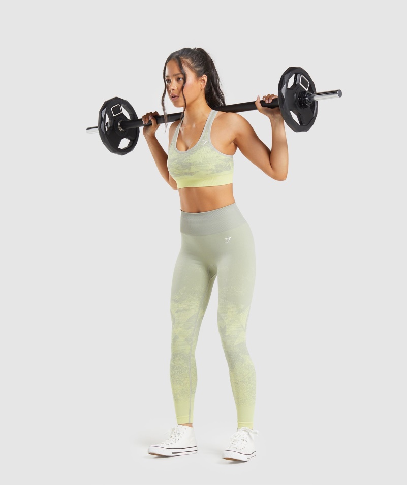 Gymshark Adapt Ombre Bezšvové Legíny Trojuholník- šedo-šedé