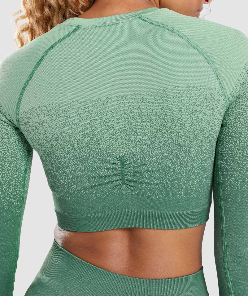 Gymshark Adapt Ombre Bezšvový Crop Top S Dlhým Rukávom Zeleno-svetlozelený