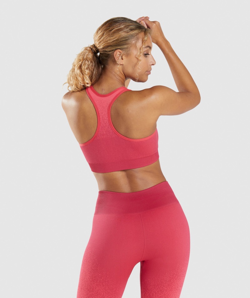 Gymshark Adapt Ombre Bezšvová športová Podprsenka Ružovo-červená