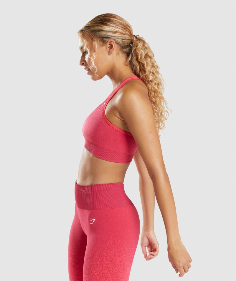 Gymshark Adapt Ombre Bezšvová športová Podprsenka Ružovo-červená