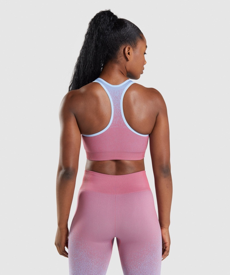 Gymshark Adapt Ombre Bezšvová športová Podprsenka Rose Ružovo-svetlomodrá
