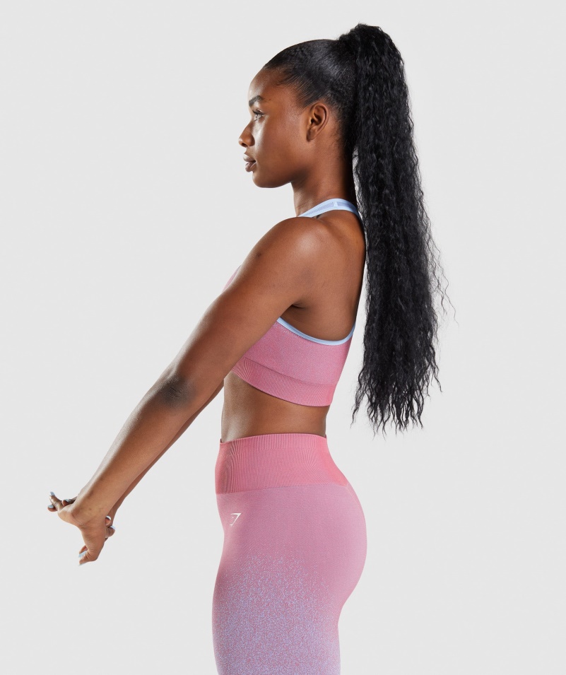 Gymshark Adapt Ombre Bezšvová športová Podprsenka Rose Ružovo-svetlomodrá