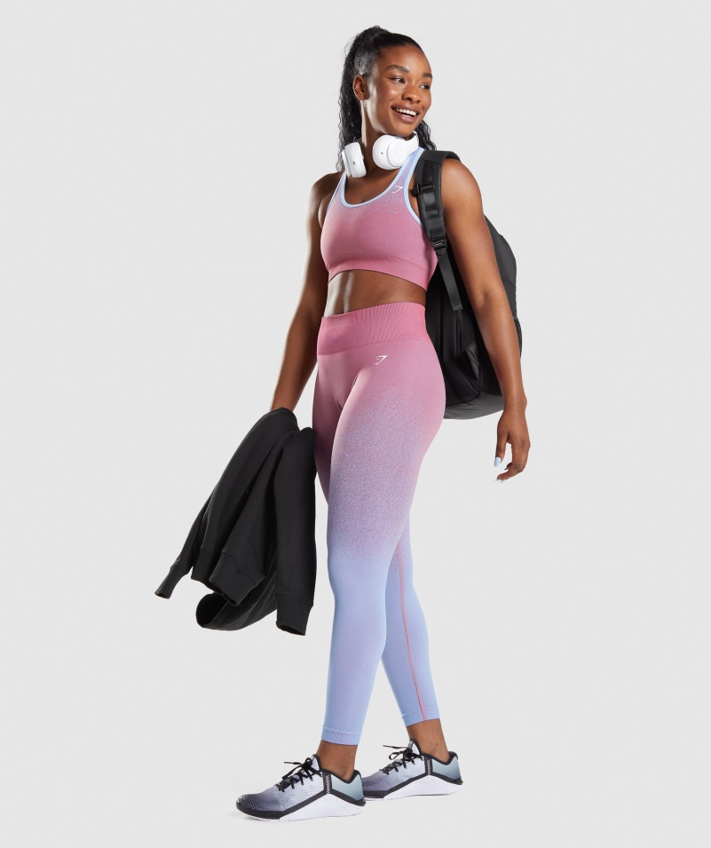 Gymshark Adapt Ombre Bezšvová športová Podprsenka Rose Ružovo-svetlomodrá