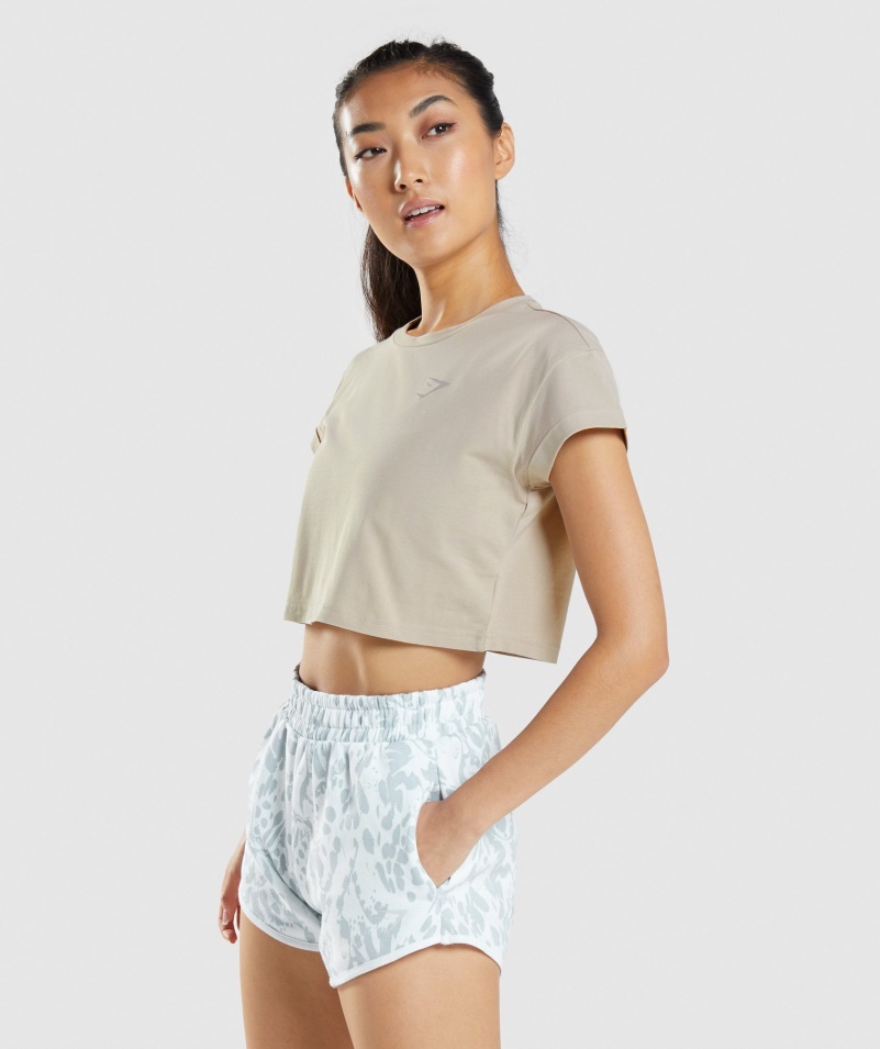 Gymshark Zvieracie Grafické Tričko Crop Grey