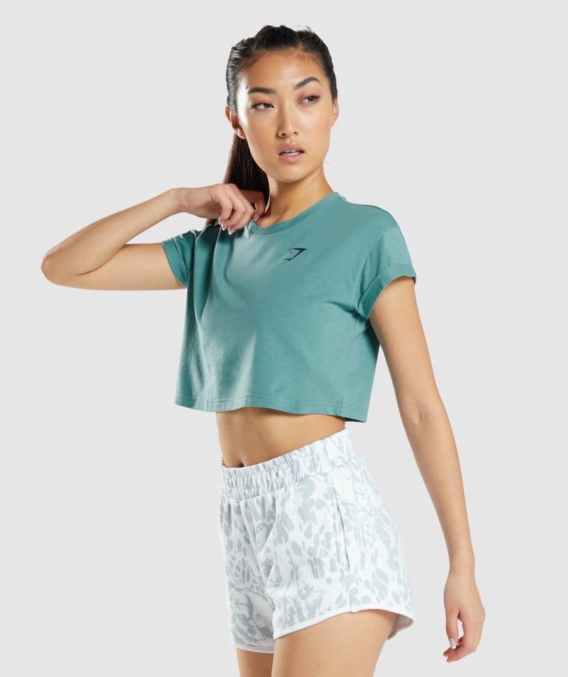Gymshark Zvieracie Tričko S Grafikou Plodiny Sivozelené