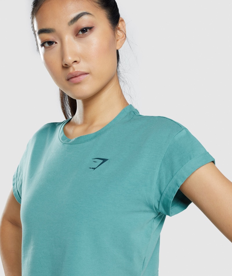 Gymshark Zvieracie Tričko S Grafikou Plodiny Sivozelené