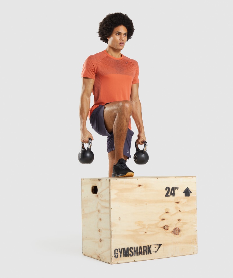 Gymshark Apex Bezšvové Tričko Papája Oranžovo-onyxovo Sivá