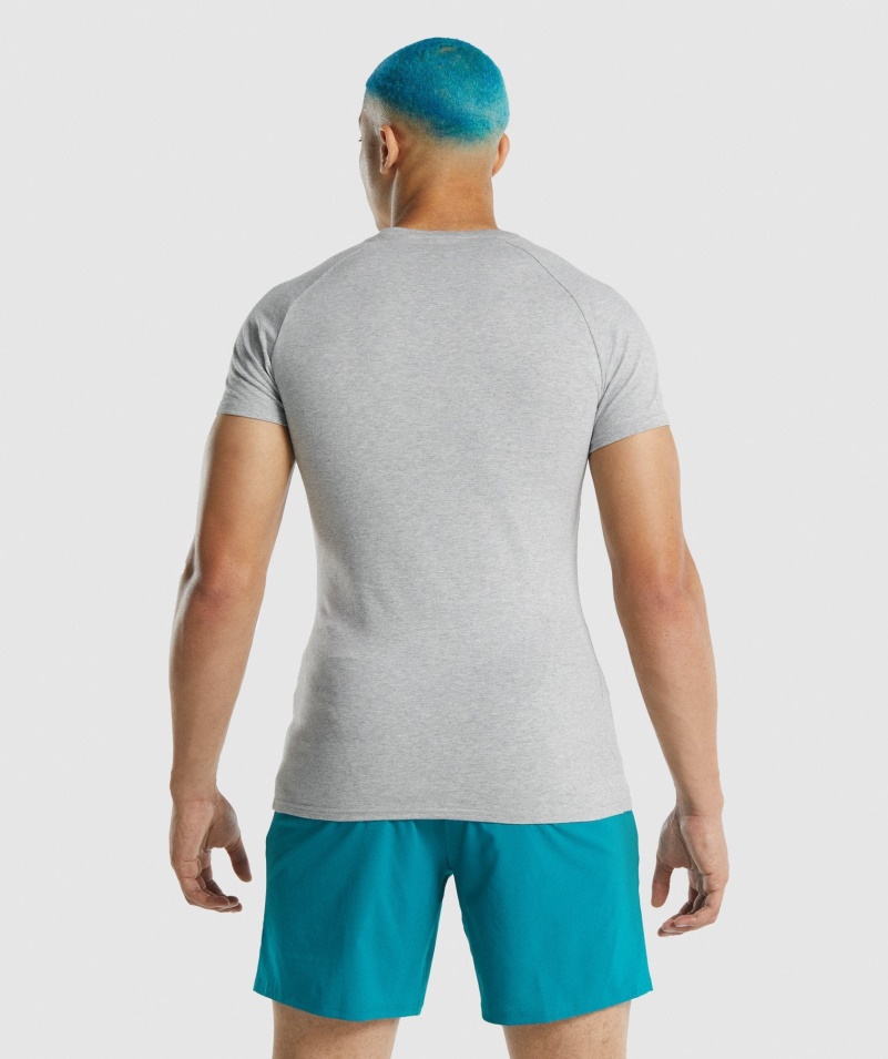 Gymshark Apollo Tričko Svetlo šedá Marl