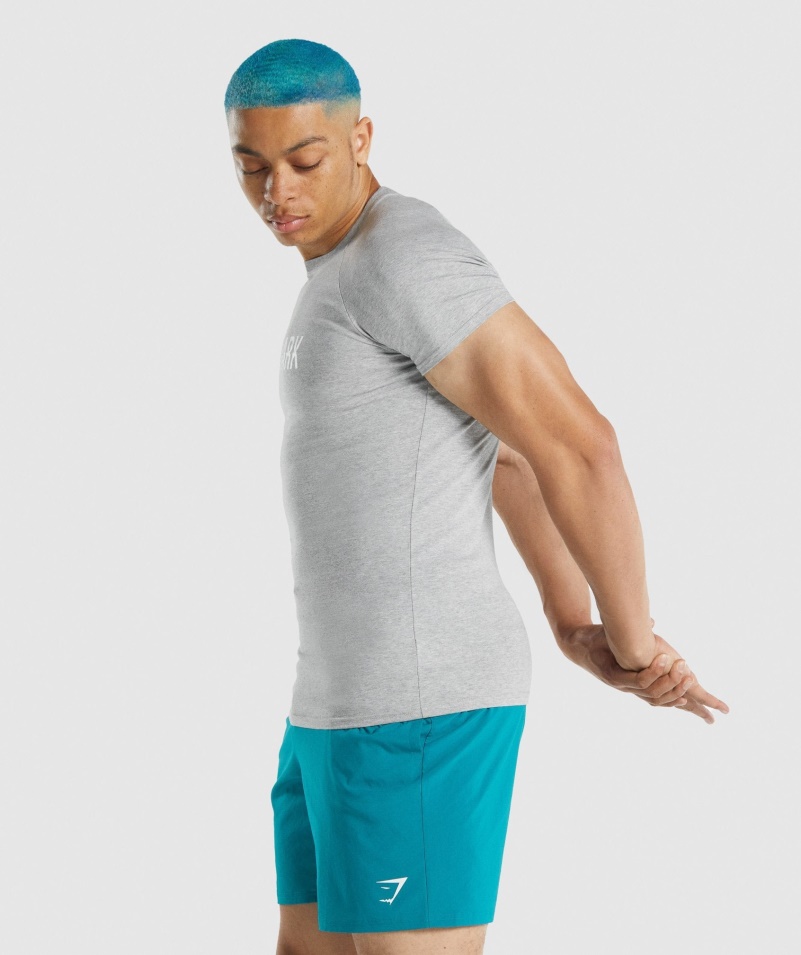 Gymshark Apollo Tričko Svetlo šedá Marl