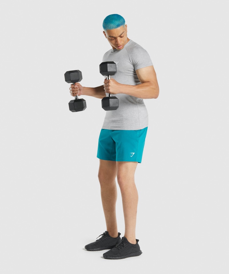 Gymshark Apollo Tričko Svetlo šedá Marl