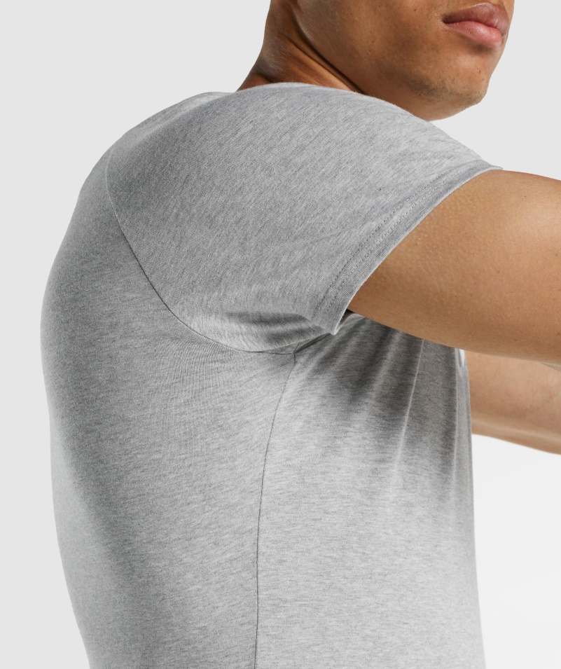 Gymshark Apollo Tričko Svetlo šedá Marl