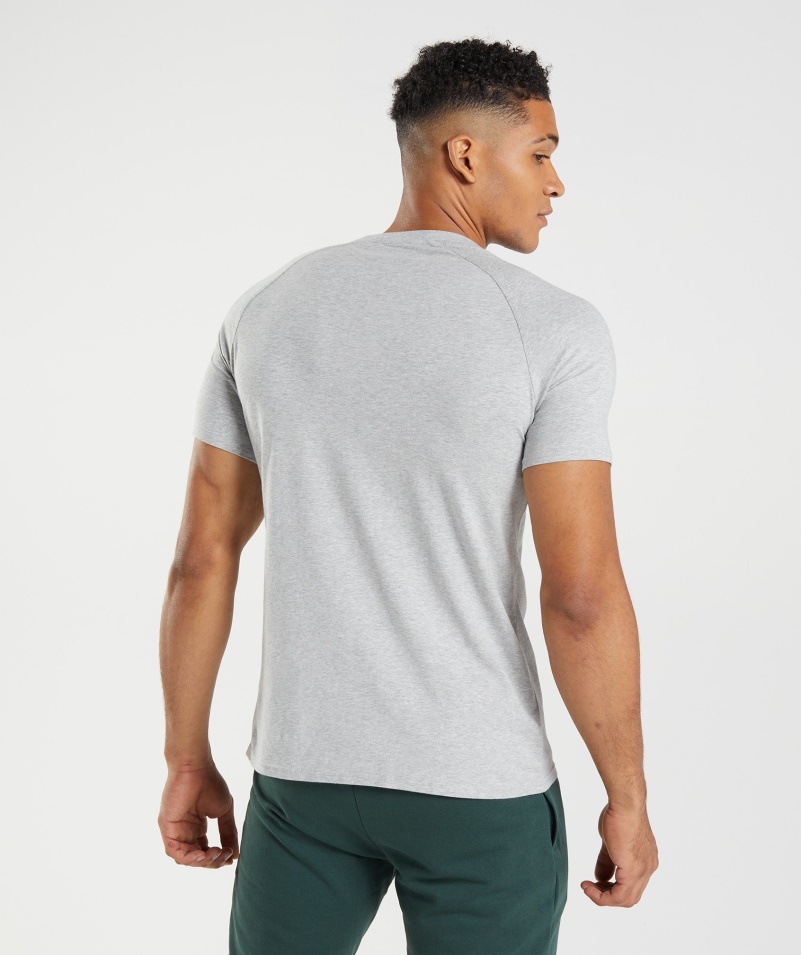 Gymshark Apollo Tričko Pánske Svetlo šedé Marl