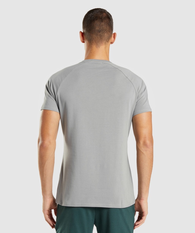 Gymshark Apollo Tričko Pánske Smokey Grey