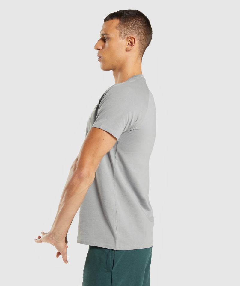 Gymshark Apollo Tričko Pánske Smokey Grey