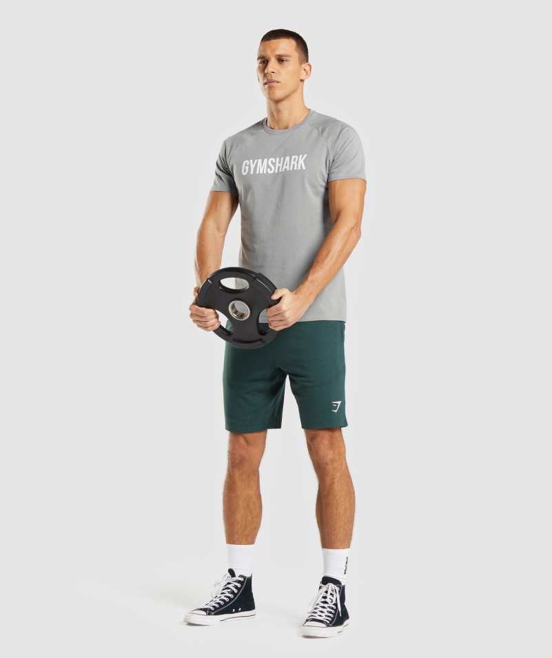 Gymshark Apollo Tričko Pánske Smokey Grey