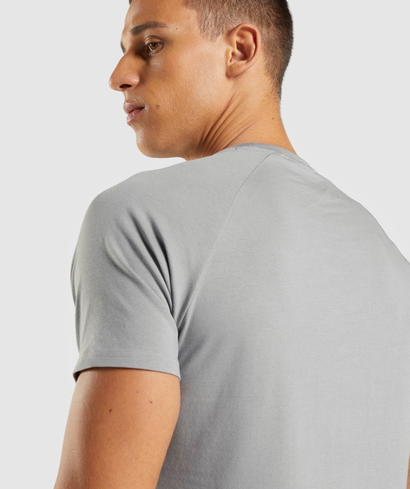 Gymshark Apollo Tričko Pánske Smokey Grey