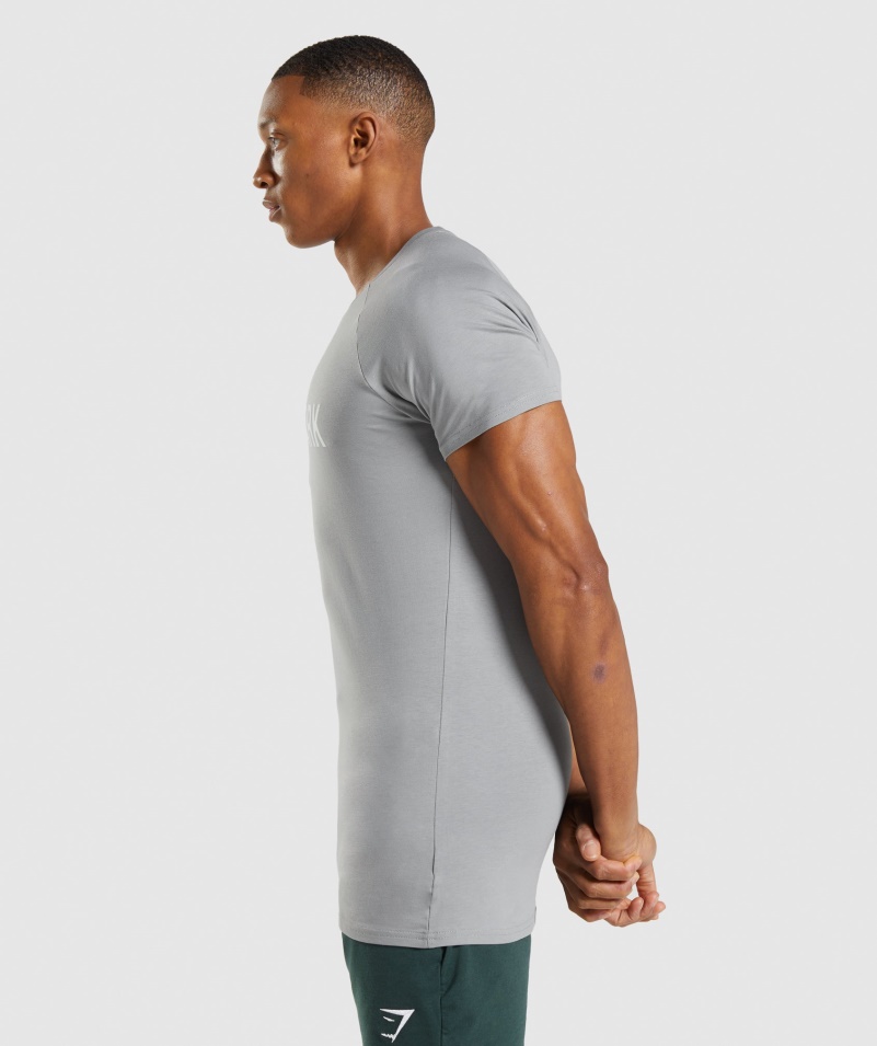 Gymshark Apollo Tričko Smokey Grey