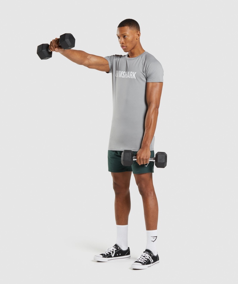 Gymshark Apollo Tričko Smokey Grey