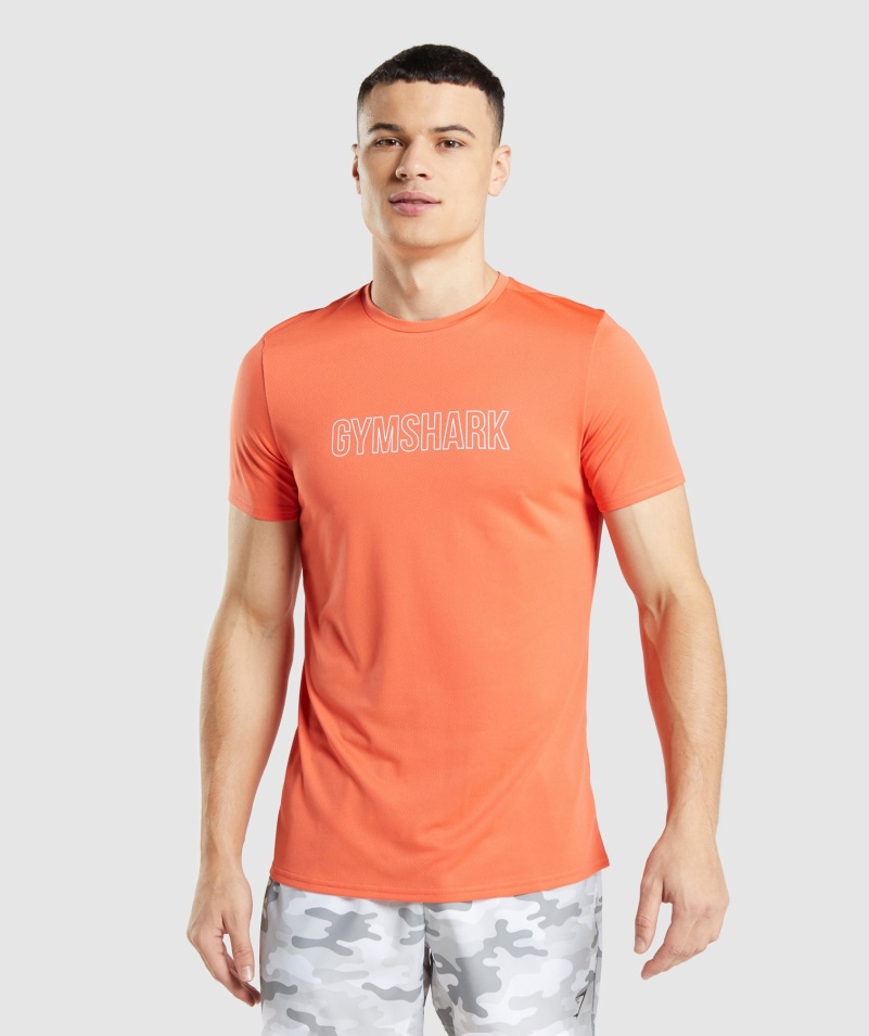 Gymshark Príchod Grafické Tričko Papája Oranžové