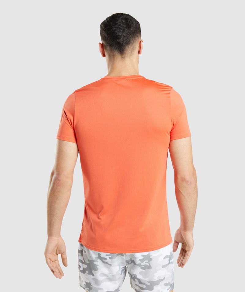 Gymshark Príchod Grafické Tričko Papája Oranžové