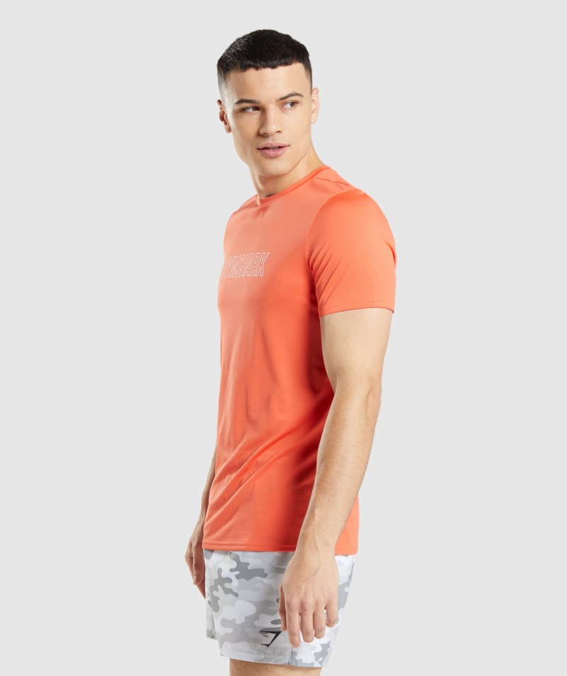 Gymshark Príchod Grafické Tričko Papája Oranžové