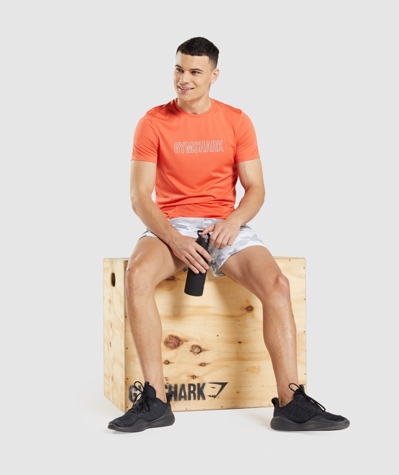Gymshark Príchod Grafické Tričko Papája Oranžové
