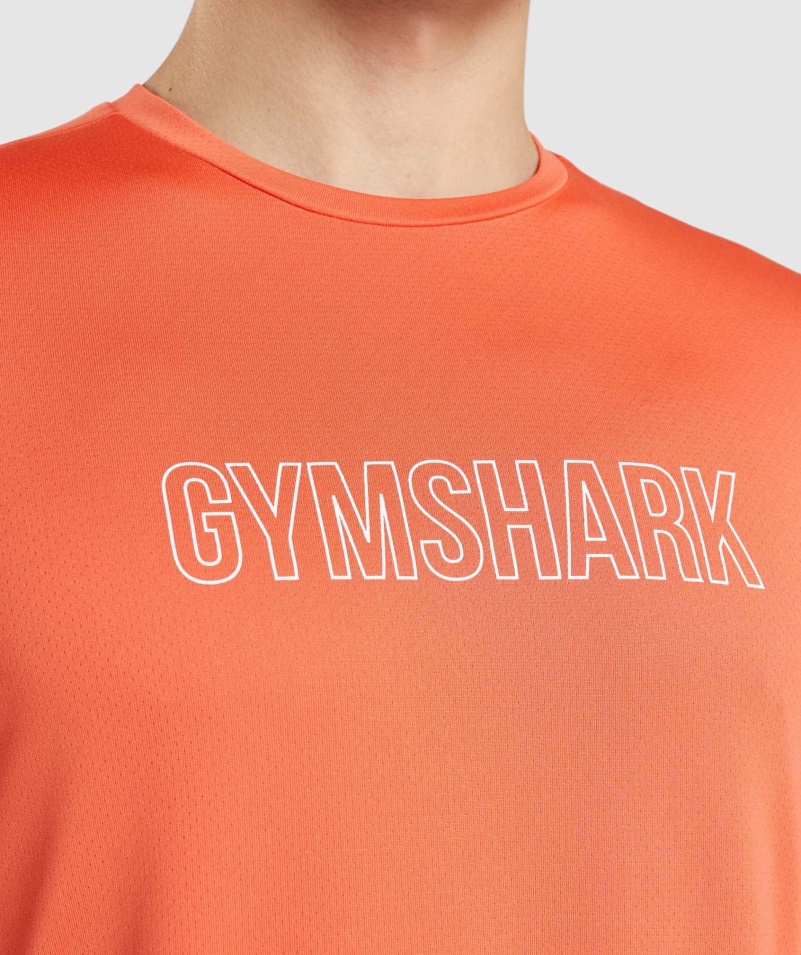 Gymshark Príchod Grafické Tričko Papája Oranžové