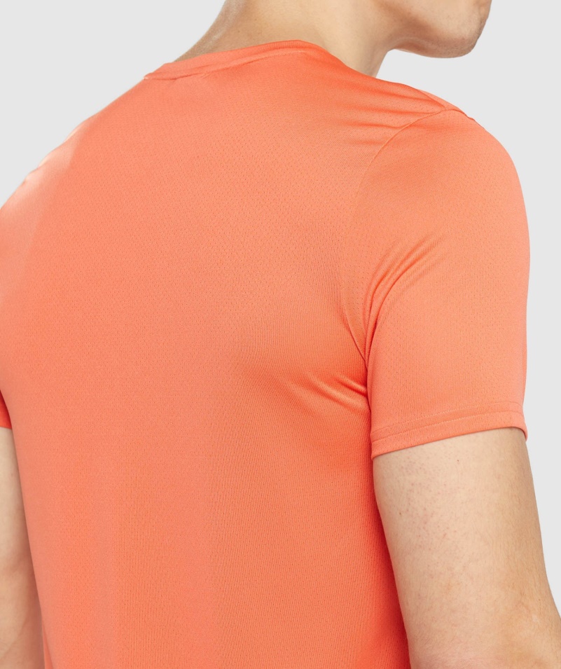 Gymshark Príchod Grafické Tričko Papája Oranžové