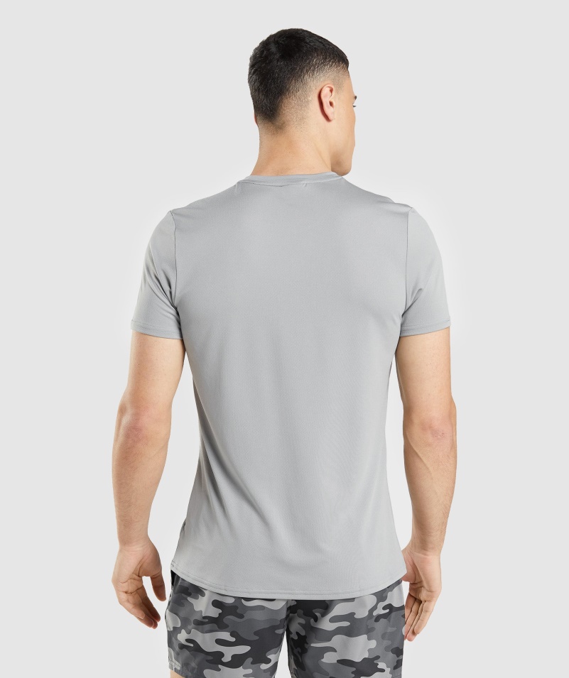 Gymshark Príchod Grafické Tričko Smokey Grey