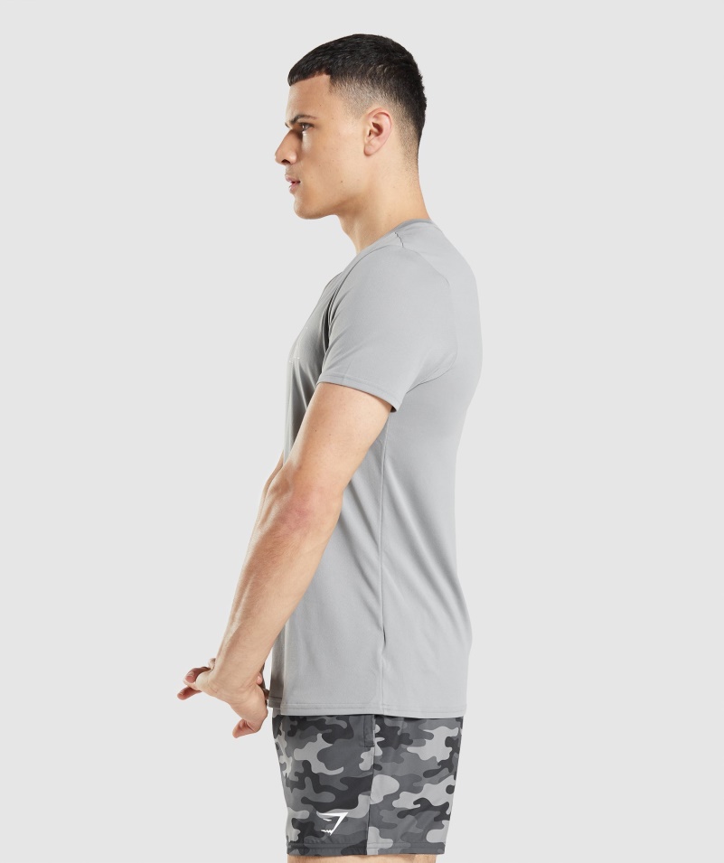 Gymshark Príchod Grafické Tričko Smokey Grey