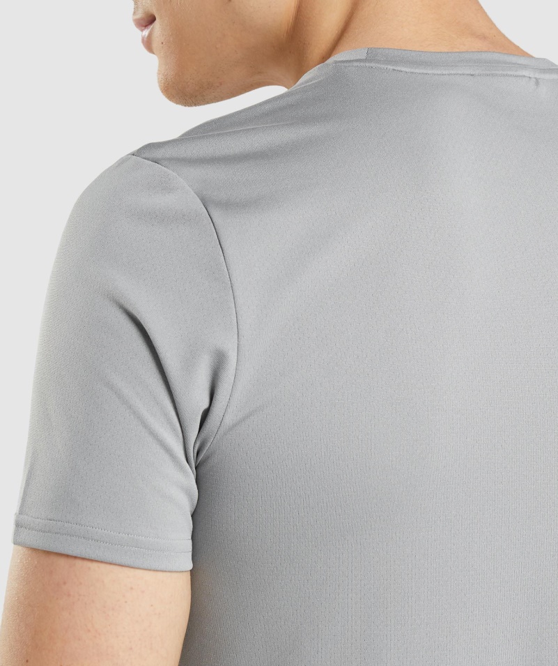 Gymshark Príchod Grafické Tričko Smokey Grey